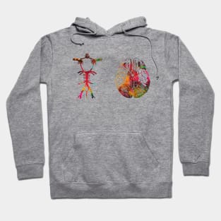 Circle Of Willis Hoodie